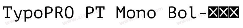 TypoPRO PT Mono Bol字体转换